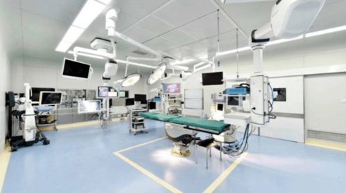 光谷4家公司13天內密集IPO獲受理，駕考寶典領跑移動互聯(lián)網技術開發(fā)領域